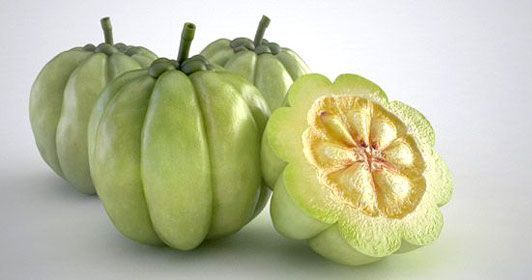 Garcinia Cambogia pour maigrir